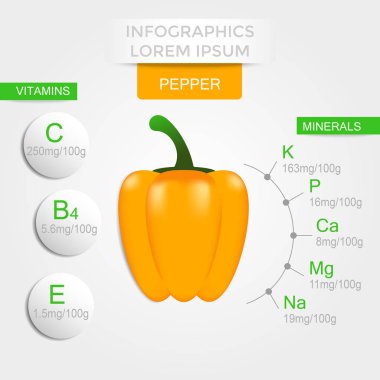 Biber, vitaminler ve mineraller sağlıklı sebze infographics. Kalite vektör çizim diyet, eko gıda, vegan ve beslenme kavramı yararları hakkında. 