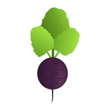 Vitamin ve mineraller ile sağlıklı pancar. Kalite vektör çizim diyet, eko gıda, vegan ve beslenme kavramı yararları hakkında.