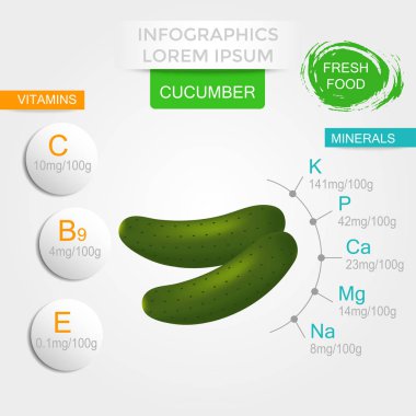 Salatalık, vitaminler ve mineraller sağlıklı sebze infographics. Kalite vektör çizim diyet, eko gıda, vegan ve beslenme kavramı yararları hakkında. 