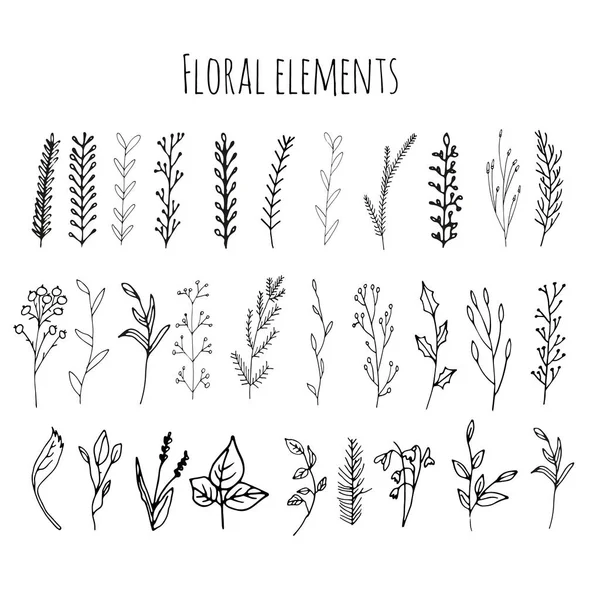 Coleção de florais e galhos com folhas —  Vetores de Stock