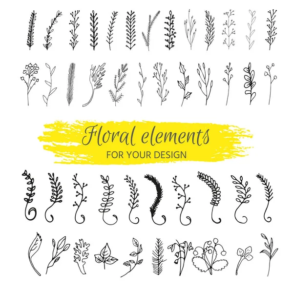 Colección de florales y ramas con hojas — Vector de stock