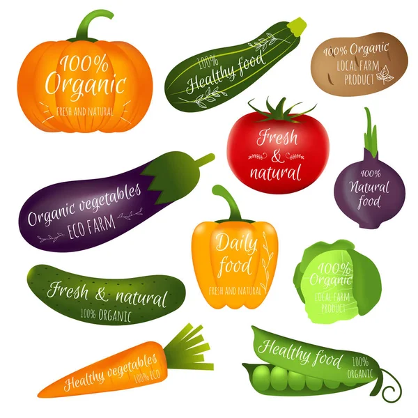 Ensemble Étiquettes Légumes Avec Exemple Texte Collection Icônes Réalistes Pour — Image vectorielle