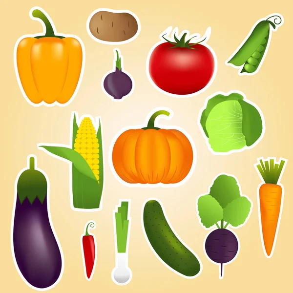 Légumes Sains Tels Que Carotte Oignon Tomate Poivre Aubergine Concombre — Image vectorielle