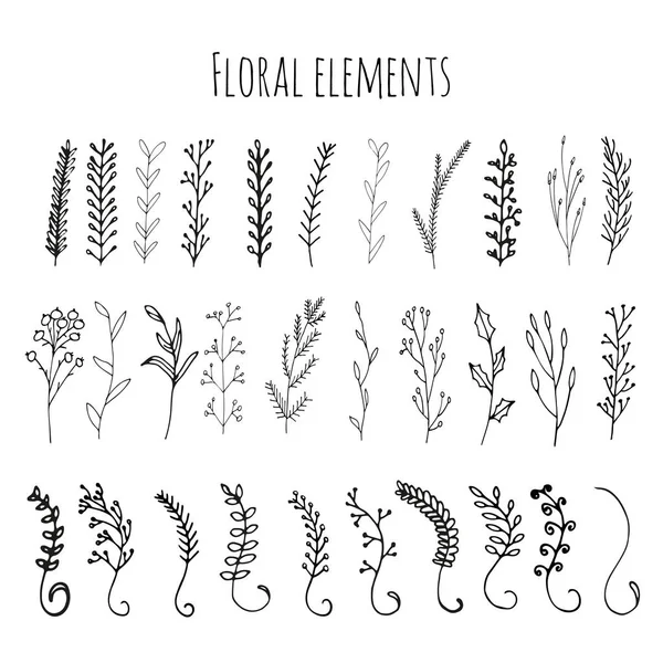 Συλλογή florals και κλαδιά με φύλλα — Διανυσματικό Αρχείο