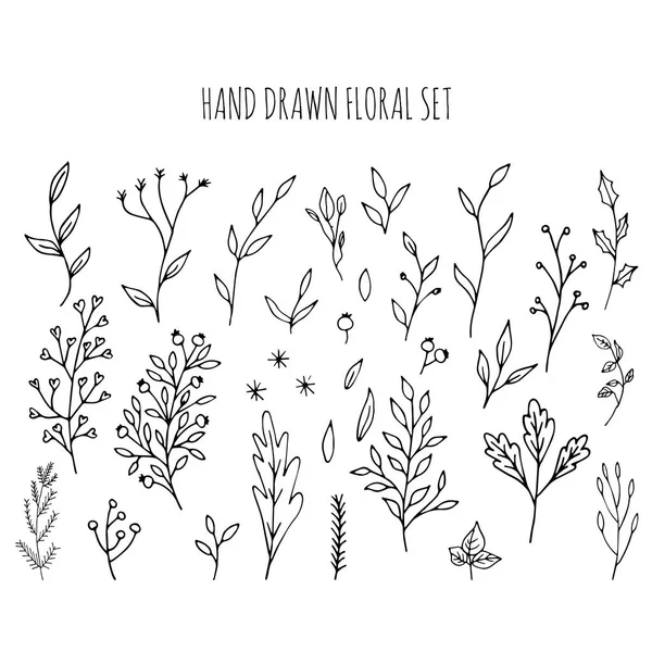 Collection Hand Drawn Vector Florals Branches Leaves Flowers Berries Modern — Stock Vector