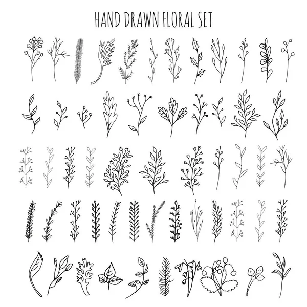 Colección de flores y ramas vectoriales dibujadas a mano con hojas — Vector de stock