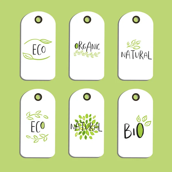 Conjunto Vetor Eco Crachá Tag Logotipo Bio Verde Placa Vegan — Vetor de Stock