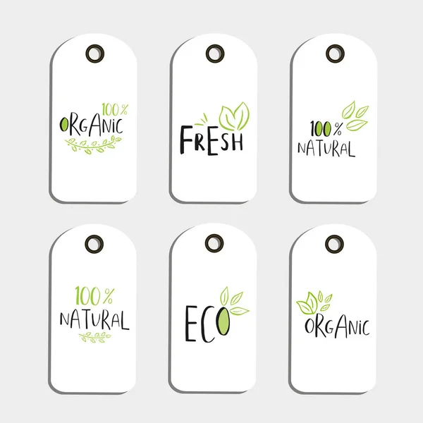 Conjunto Vetor Eco Crachá Tag Logotipo Bio Verde Placa Vegan —  Vetores de Stock