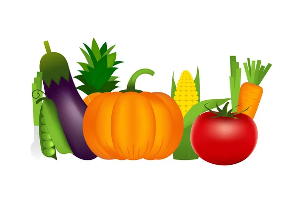 Modello di banner orizzontale per il mercato locale con una serie di verdure salutari realistiche come: carota, pomodoro, pepe, zucca. banner vettoriale sulla dieta, cibo ecologico — Vettoriale Stock