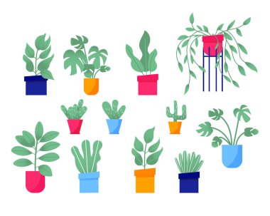 Ev bahçesi. Renkli çiçek, botanik, parlak saksı koleksiyonu. Yapraklı ev bitkisi seti, sulu kaktüs. Beyaz arka planda izole elementler. Düz Vektör İllüstrasyonu