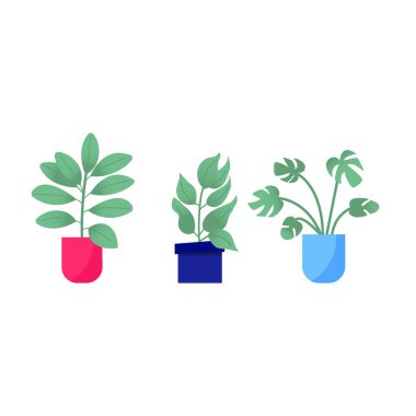 Ev bahçesi. Renkli çiçek, botanik, parlak saksı koleksiyonu. Yapraklı ev bitkisi seti, sulu kaktüs. Beyaz arka planda izole elementler. Düz Vektör İllüstrasyonu