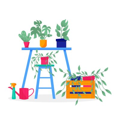 Ev bahçesi. Renkli çiçek, botanik, parlak saksı koleksiyonu. Yapraklı ev bitkisi seti, sulu kaktüs. Beyaz arka planda izole elementler. Düz Vektör İllüstrasyonu