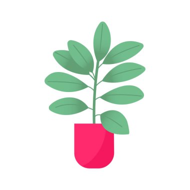 Ev bahçesi. renkli çiçek botanik, parlak çiçek saksısı. Yapraklı ev bitkisi, sulu kaktüs. Beyaz arka planda izole bir element var. Düz Vektör İllüstrasyonu