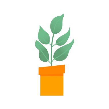 Ev bahçesi. renkli çiçek botanik, parlak çiçek saksısı. Yapraklı ev bitkisi, sulu kaktüs. Beyaz arka planda izole bir element var. Düz Vektör İllüstrasyonu