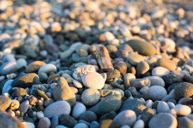 pebbles on the beach on a Sunny day