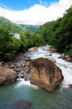 Dağlardaki nehir. Güçlü akarsu dağlardan aşağı akıyor.