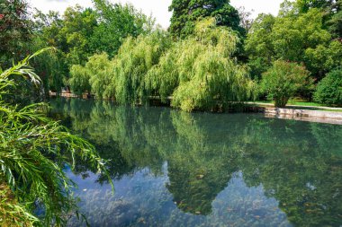 Göletli park. Mavi su. Sahilde palmiye ağaçları