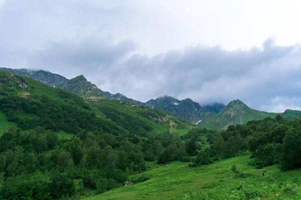 Panorama góry. łąka alpejska. — Zdjęcie stockowe
