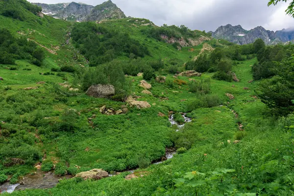 Panoráma a hegyre. Abházia hegy, Kaukázus hegység. — Stock Fotó