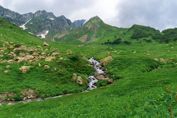 Panorama de la montaña. montaña Abjasia, montañas del Cáucaso . — Foto de Stock