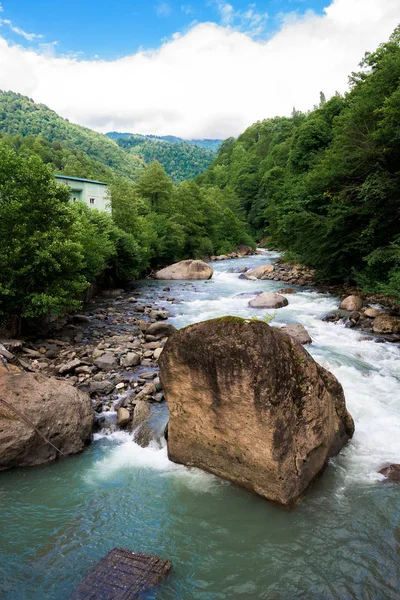 Dağlardaki nehir. Güçlü akarsu dağlardan aşağı akıyor.