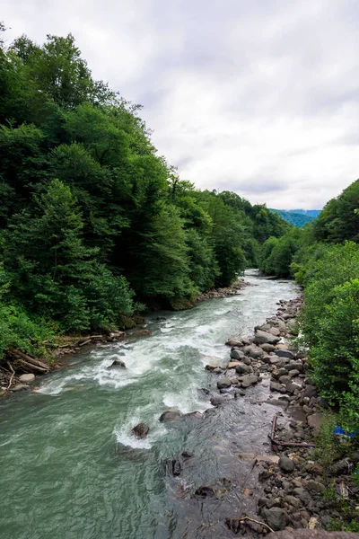 Dağlardaki nehir. Güçlü akarsu dağlardan aşağı akıyor.