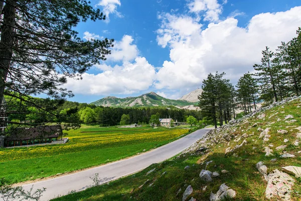 La vue sur les montagnes du Monténégro. chaînes de montagnes en été dans le vert, ciel bleu — Photo