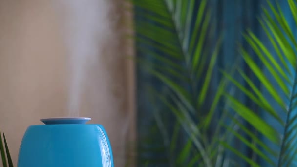 空気加湿器は室内の花の横に青色です水分で空気を飽和させます新鮮な空気をきれいに。高品質ビデオ — ストック動画