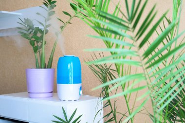 Mavi çantanın içindeki nemlendirici, bitki ve insanların nem ve sağlığını arttırmak için odada. Buharın havaya boşalması yakın plan.