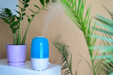 Mavi çantanın içindeki nemlendirici, bitki ve insanların nem ve sağlığını arttırmak için odada. Buharın havaya boşalması yakın plan.