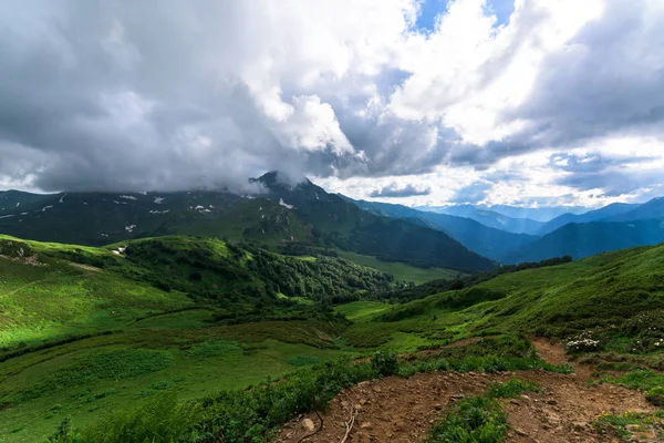 Panorama de las montañas alpinas. turismo de montaña. Montañas caucásicas. paisaje de verano con montañas. flores, cielo azul, aire fresco —  Fotos de Stock