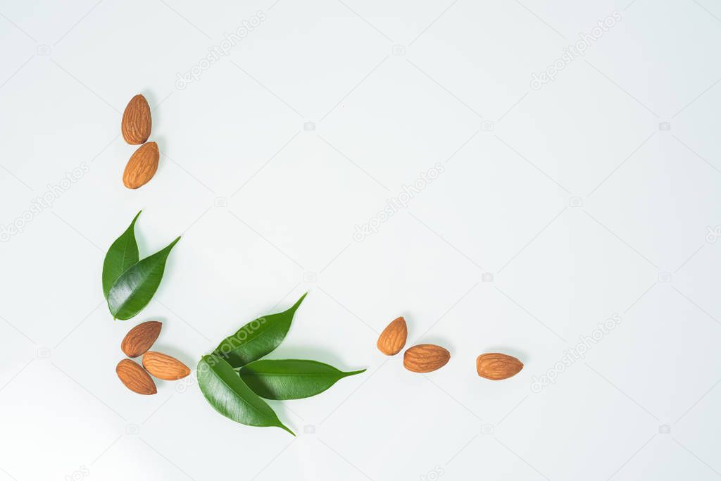 almonds and green leaves isolated on a white background. spring composition, top view. nutritious nut, healthy nutrition. space for text