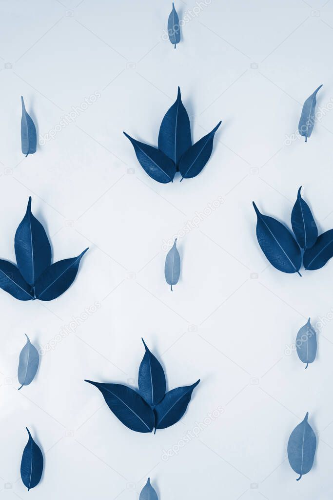 green and yellow leaves isolated on a white background. spring composition. top view, layout . flat lay . classic blue color of the year 2020. color trend