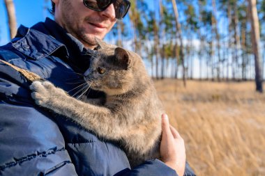 Bir adamın elindeki kedi, doğadaki bir ot dalıyla oynar. Evcil hayvanınla ormanda yürü. Ormanda vahşi yaşam.