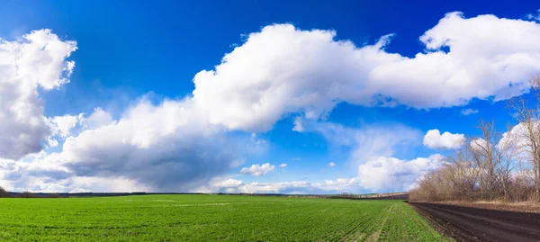 Panorama Cielo Azul Con Nubes Blancas Campo Verde Día Soleado — Foto de Stock