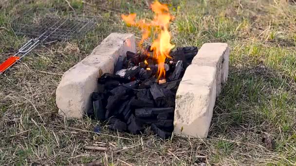 Charbon Brûlant Pour Barbecue Entre Les Briques Pour Gril Grill — Video