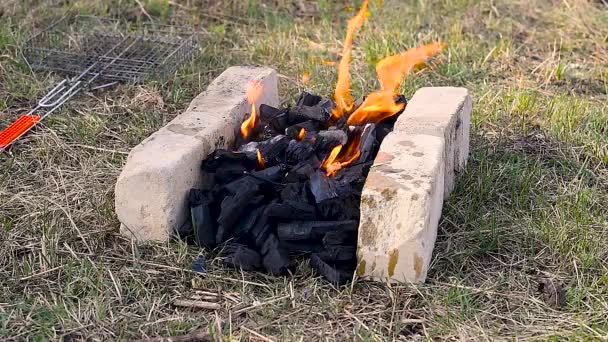 Charbon Brûlant Pour Barbecue Entre Les Briques Pour Gril Grill — Video