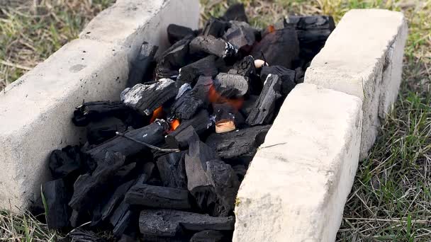 Izgaranın Tuğlaları Arasında Barbekü Için Kömür Yakmak Çerçevede Ateş Duman — Stok video