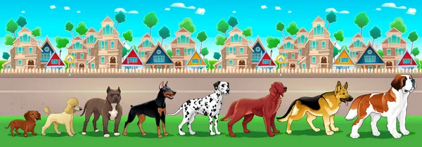 Collection of purebred dogs aligned on the town view — Stock Vector