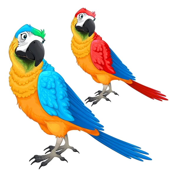 Funny parrots in two different colors — Stock Vector