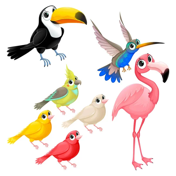 Groupe d'oiseaux tropicaux drôles — Image vectorielle