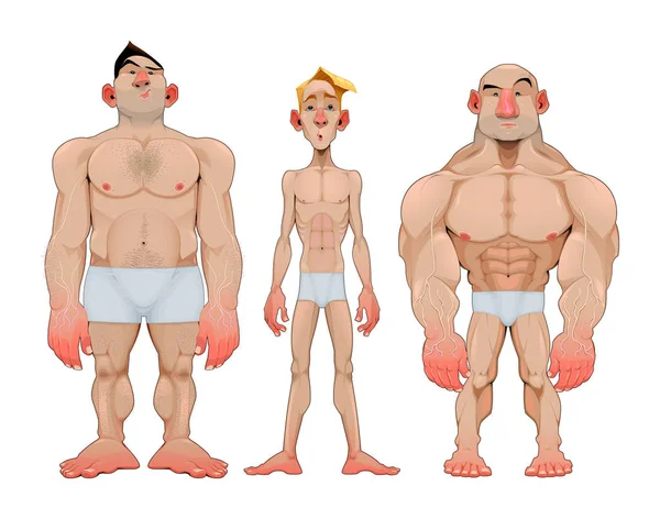Tre tipi di anatomie maschili caricaturali — Vettoriale Stock