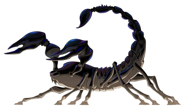 Scorpione nero isolato . — Vettoriale Stock