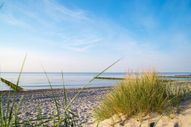  Bir kumul Baltık Denizi sahilden görünümünü