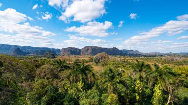   Pinar del Rio Vinales vadi Panorama