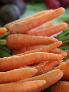 Fuar dan taze havuç grup