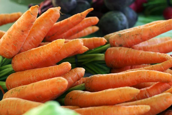 Group of fresh carrots from the fair — Stock Photo, Image