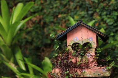 Küçük pembe kuş evi