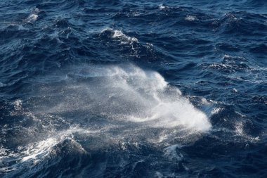 Hareketli dalga mavi okyanus