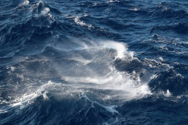 Hareketli dalga okyanus